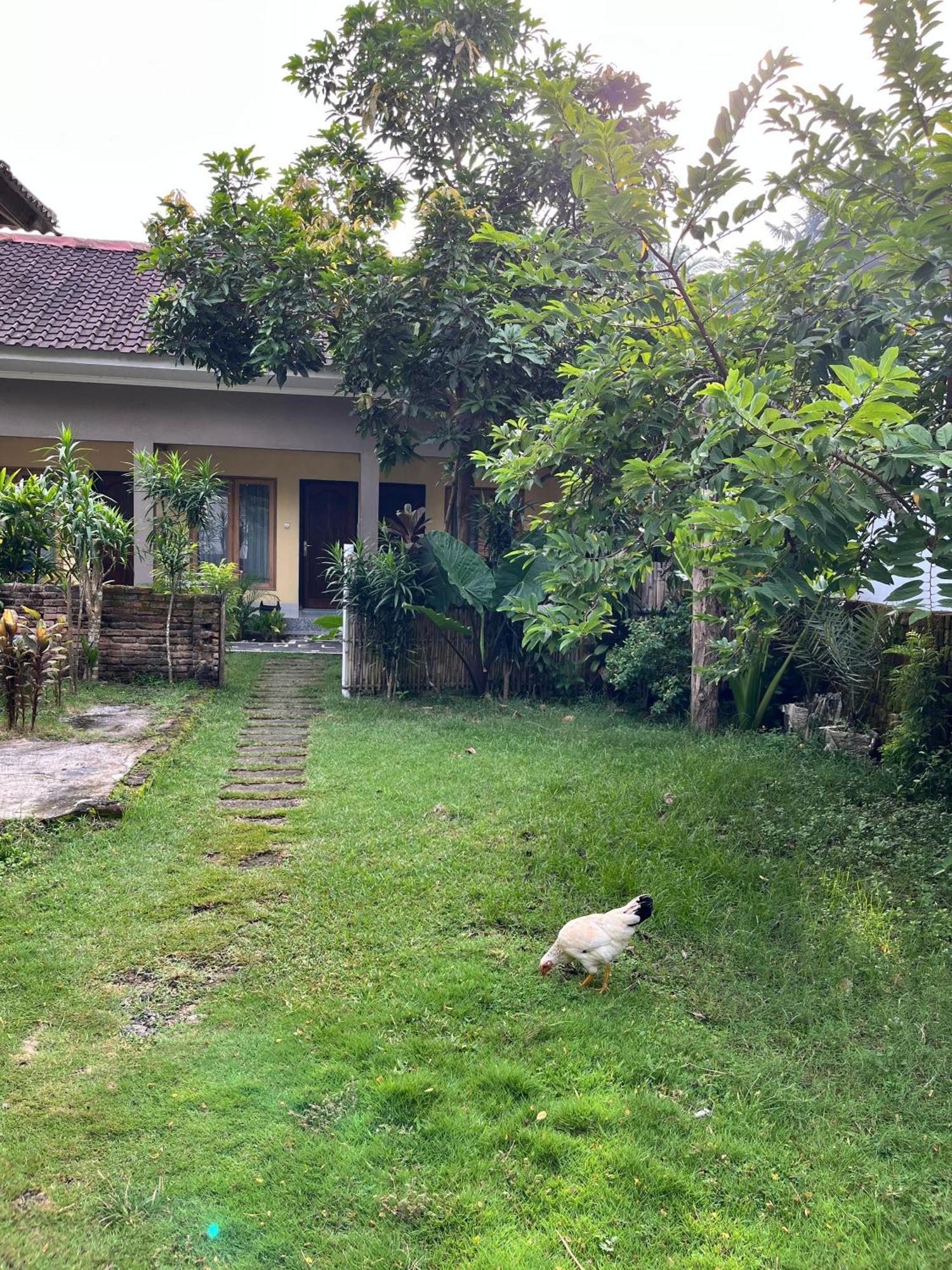 Honey Home Kuta  المظهر الخارجي الصورة